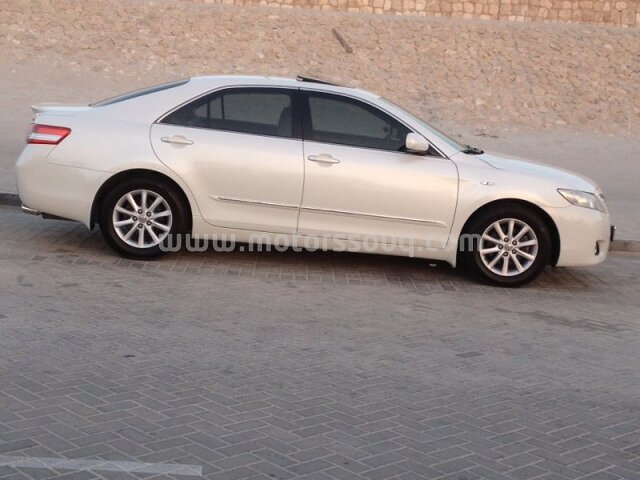 2010 تويوتا أخرى