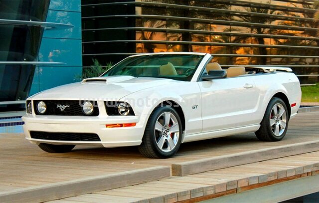 2006 Ford Other