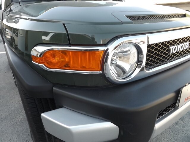 2010 Toyota FJ