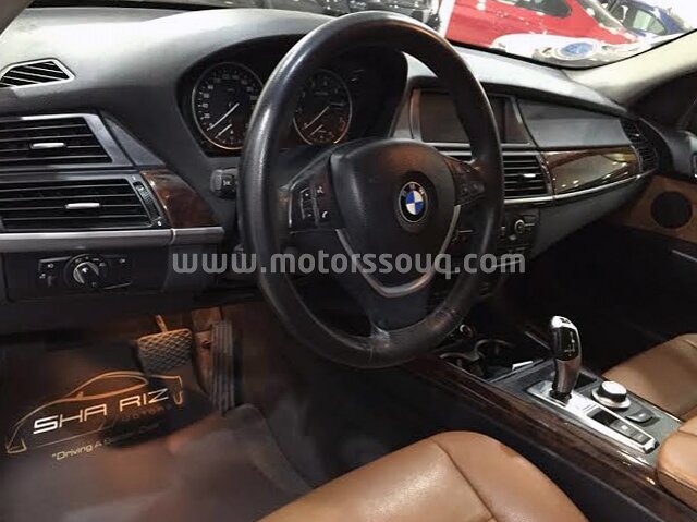 2009 BMW X5