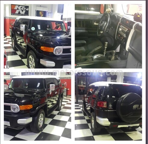 2008 Toyota FJ