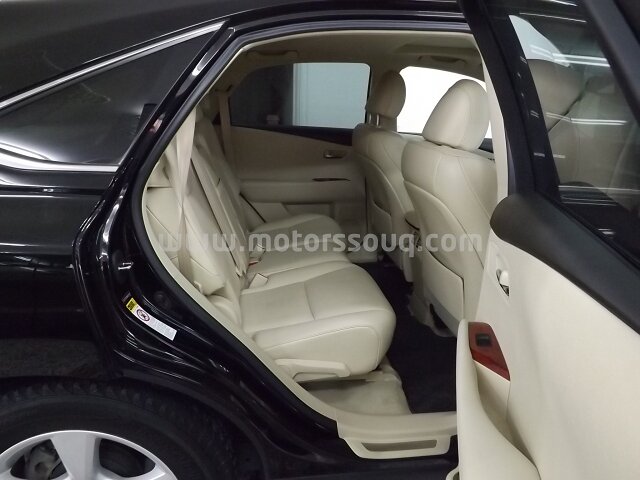 2010 Lexus RX