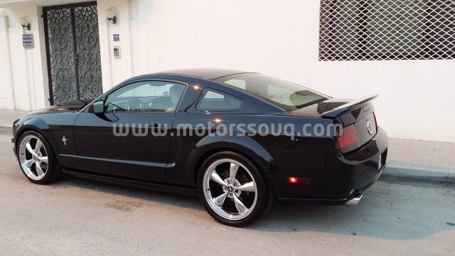 2006 فورد أخرى