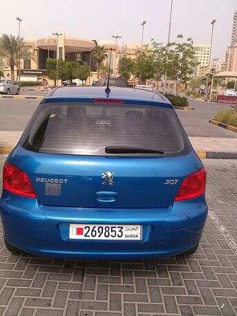 2006 بيجو أخرى