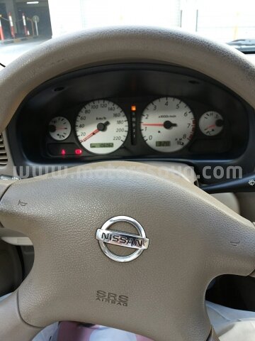 2010 Nissan Sunny