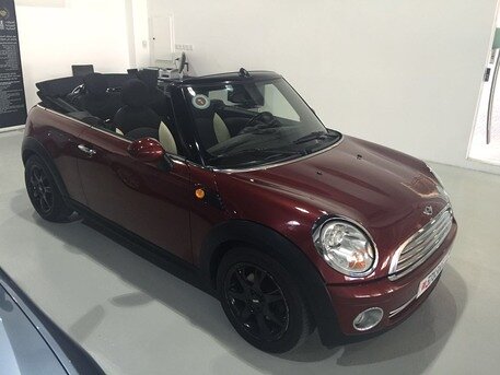 2010 Mini Other