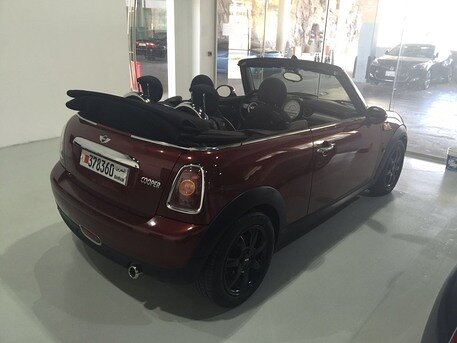 2010 Mini Other