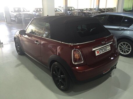 2010 Mini Other