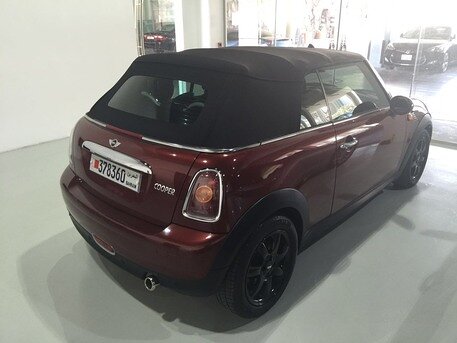 2010 Mini Other