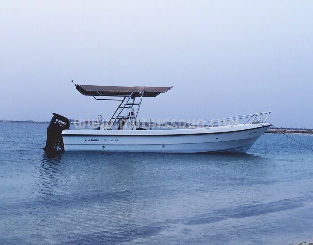 2014 دراجات مائية أخرى