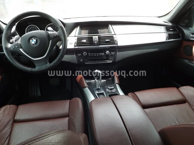 2010 BMW X6