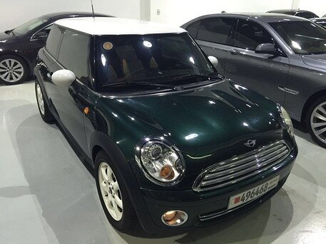 2010 Mini Other
