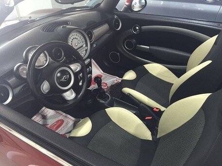 2010 Mini Other