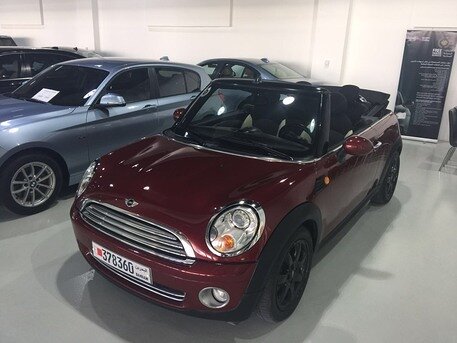 2010 Mini Other