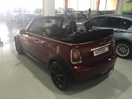 2010 Mini Other