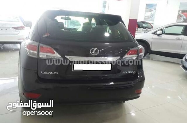 2013 Lexus RX