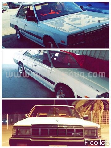 1986 نيسان أخرى