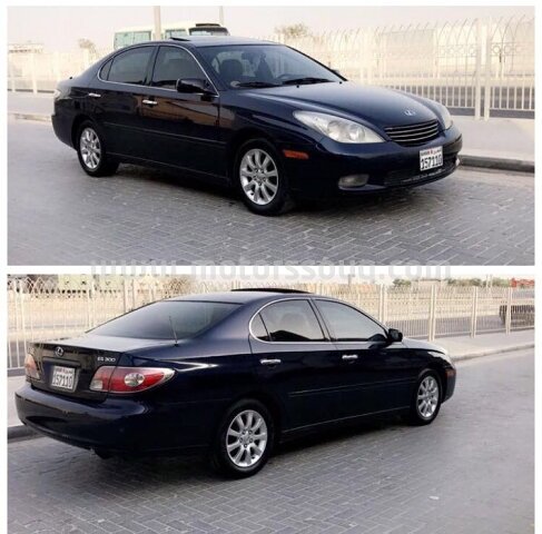 2002 Lexus Other