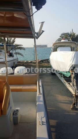 2011 دراجات مائية أخرى