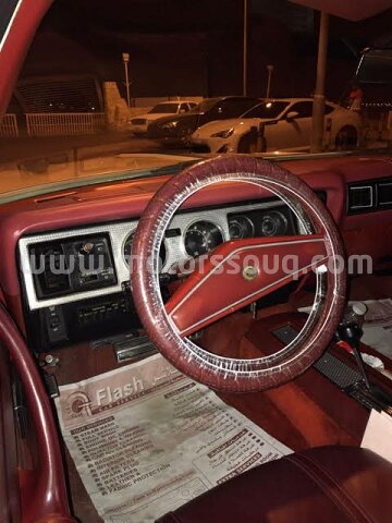 1969 دودج أخرى