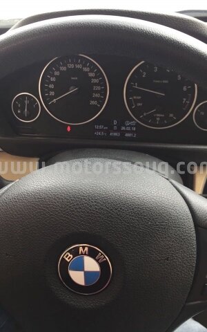 2015 بي إم دبليو 316