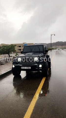 2010 جيب رانجلر