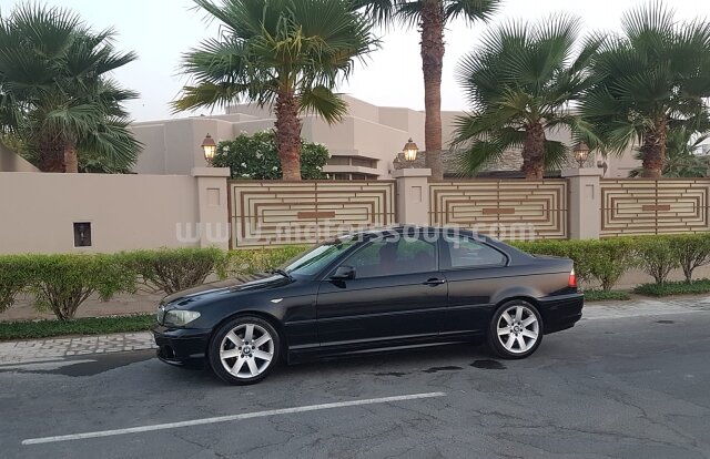 2005 BMW 318