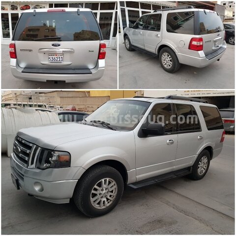 2010 Ford Expedition