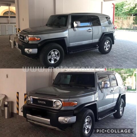 2010 Toyota FJ