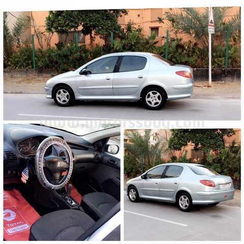 2010 بيجو أخرى