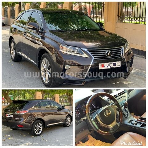 2013 Lexus RX