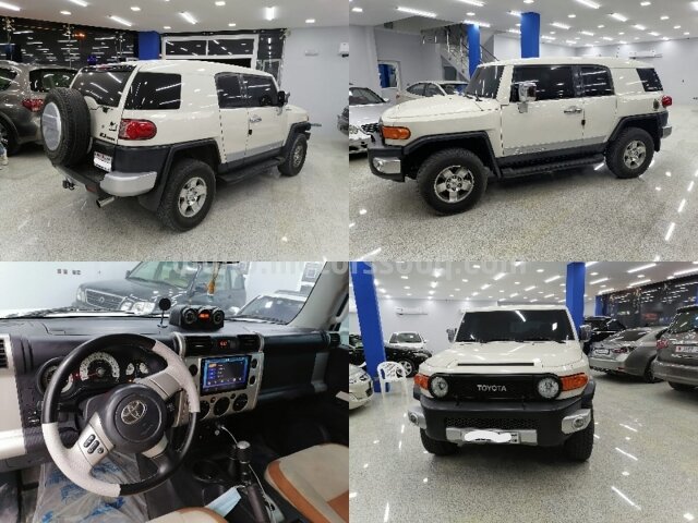 2010 Toyota FJ