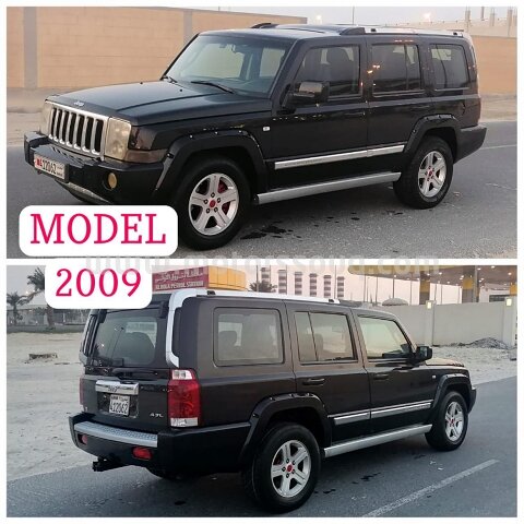2009 جيب أخرى