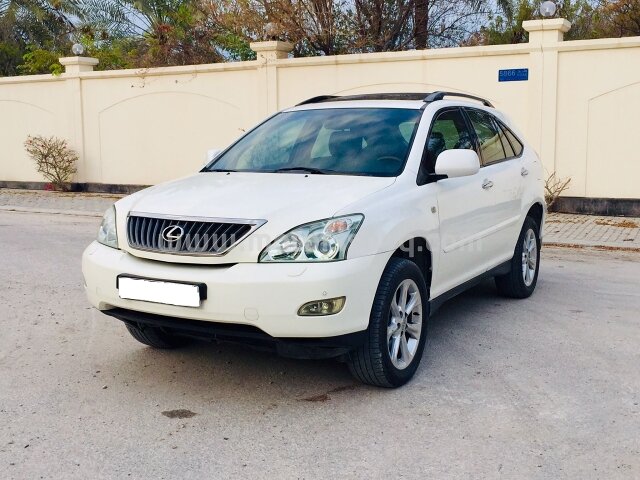 2009 Lexus RX