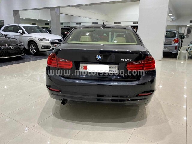 2014 BMW 316