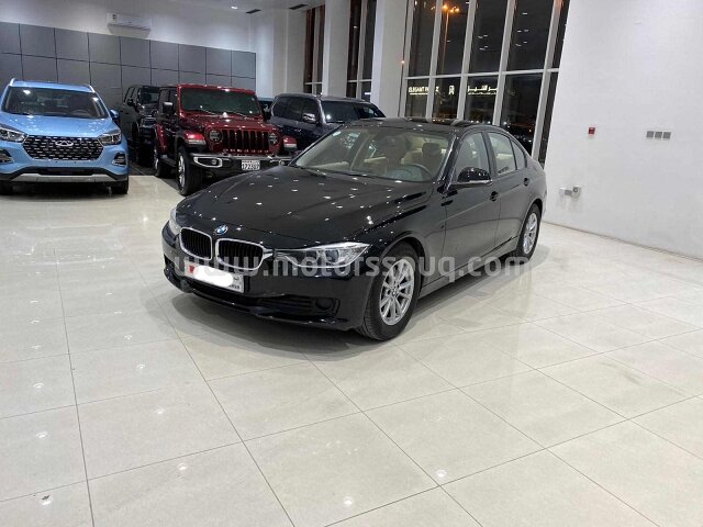 2014 BMW 316