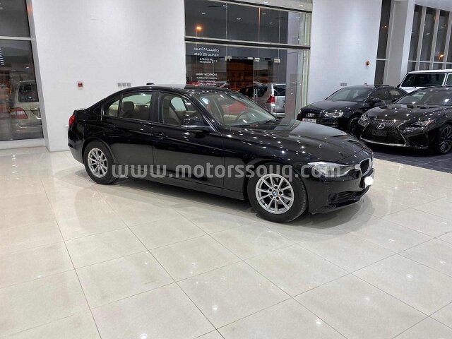 2014 BMW 316