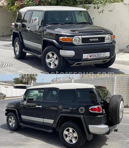 2010 Toyota FJ