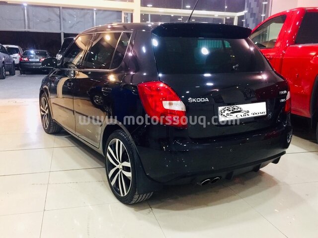 2013 سكودا أخرى