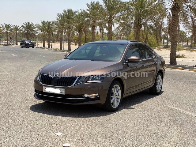 2019 سكودا أخرى