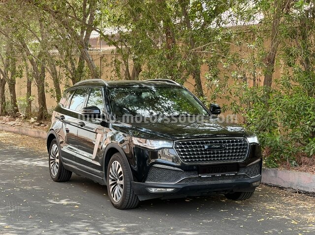 2019 Zotye T700