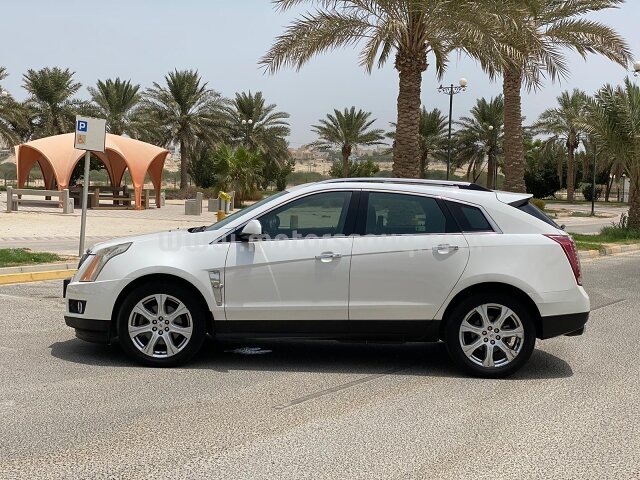 2010 Cadillac SRX