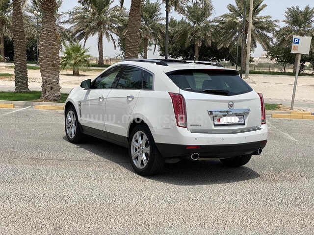 2010 Cadillac SRX