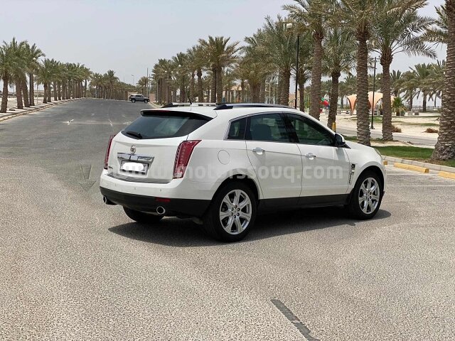2010 Cadillac SRX