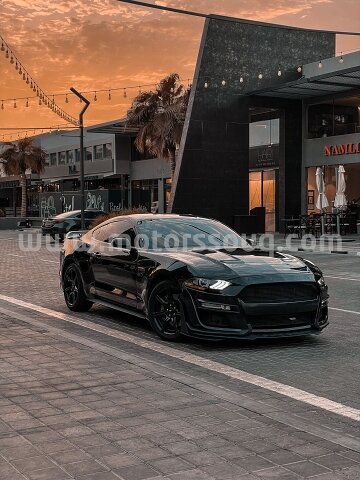2019 Ford Mustang