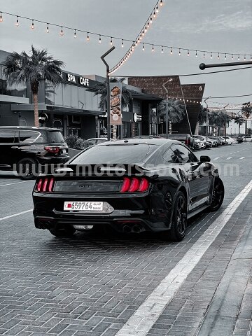2019 Ford Mustang