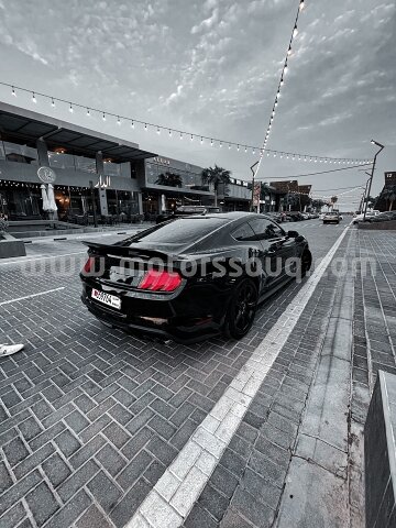 2019 Ford Mustang