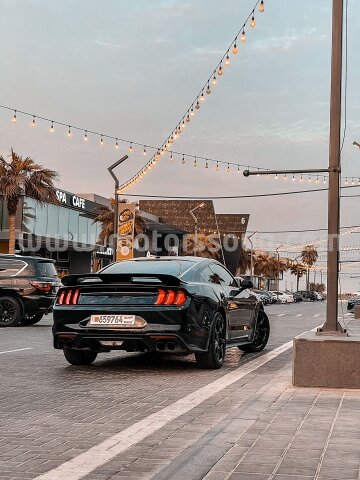 2019 Ford Mustang