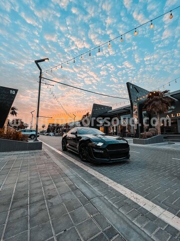 2019 Ford Mustang