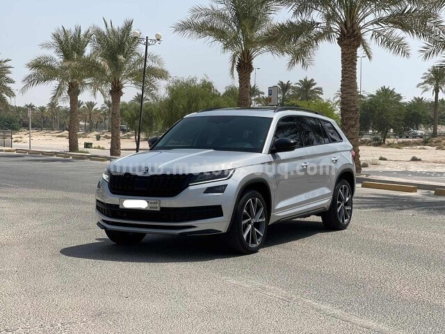 2020 سكودا أخرى
